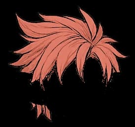 Pelo puntas salmon