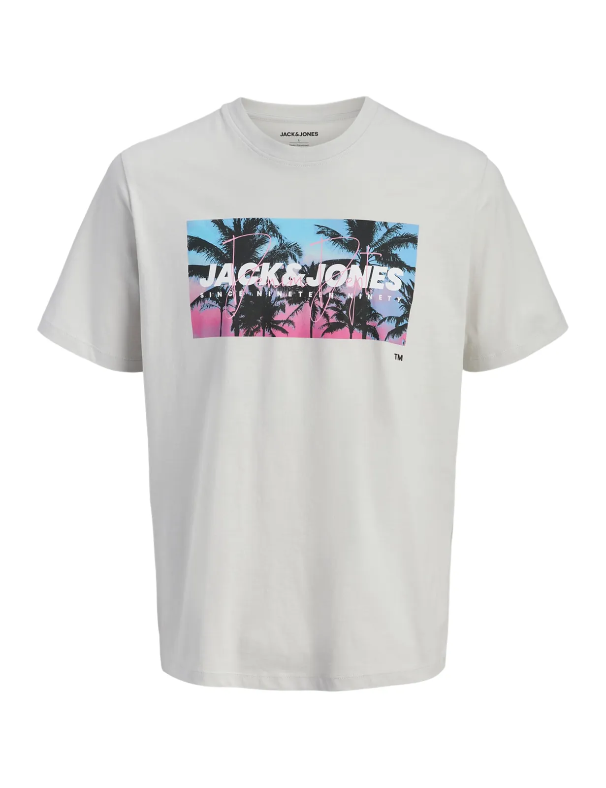 Camiseta Jack & Jones Jjindiana Tee SS Crew Neck, Glacier Gray (varias tallas)